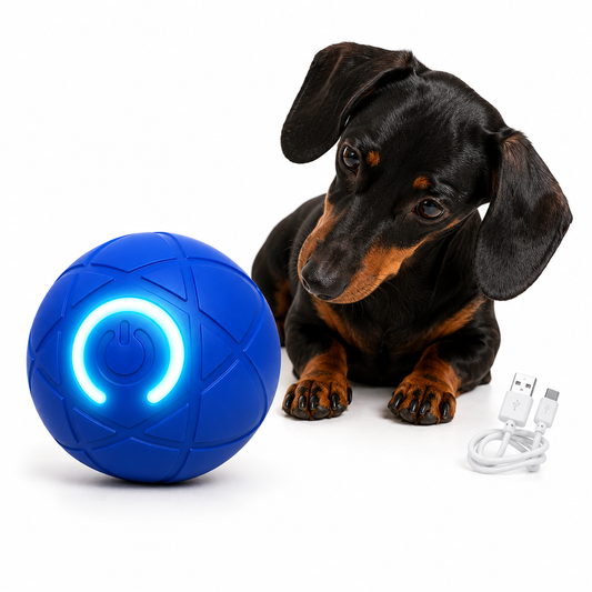 TeckelBall™ | El Juguete que Todo Teckel Necesitacccccc